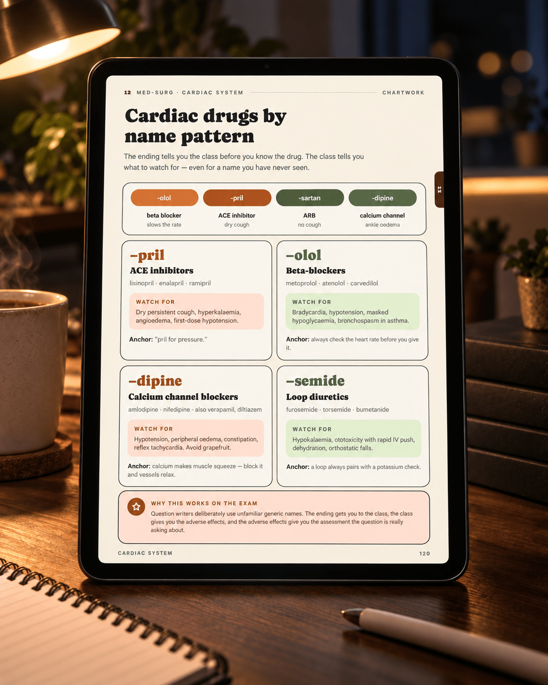 Nursing School Study Guide Bundle - ChartWorkoption3