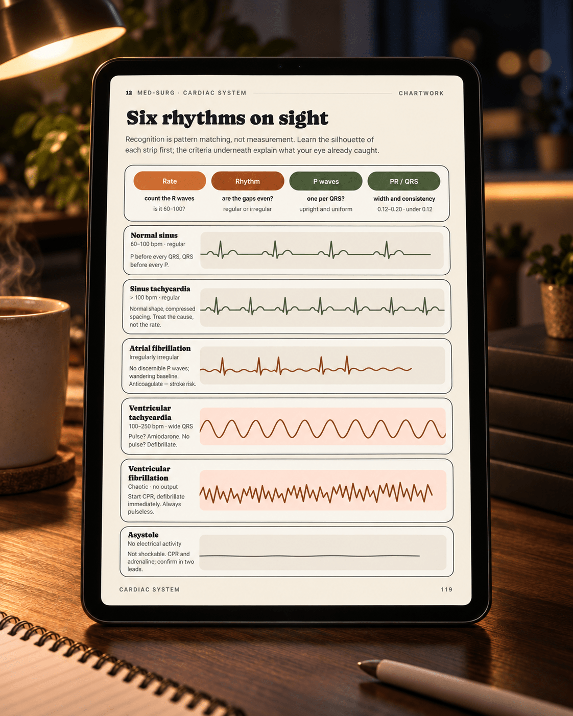 Nursing School Study Guide Bundle - ChartWorkoption3